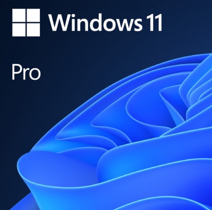Sistema Operativo Windows 11 Pro 64 Bits Ingls OEM 1